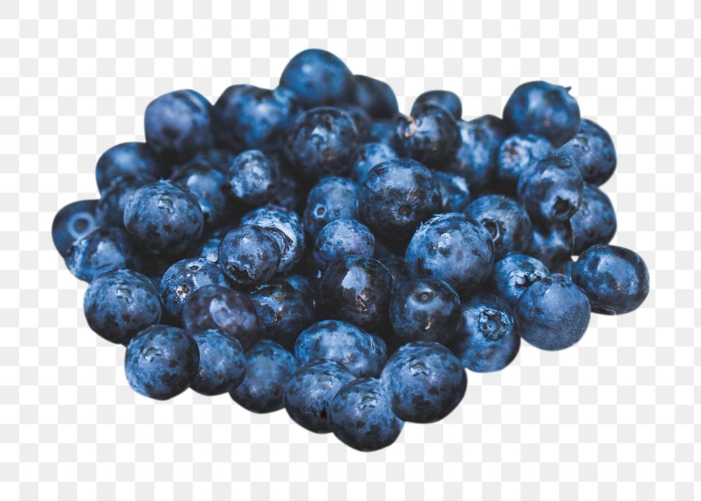 Png blueberry, transparent background