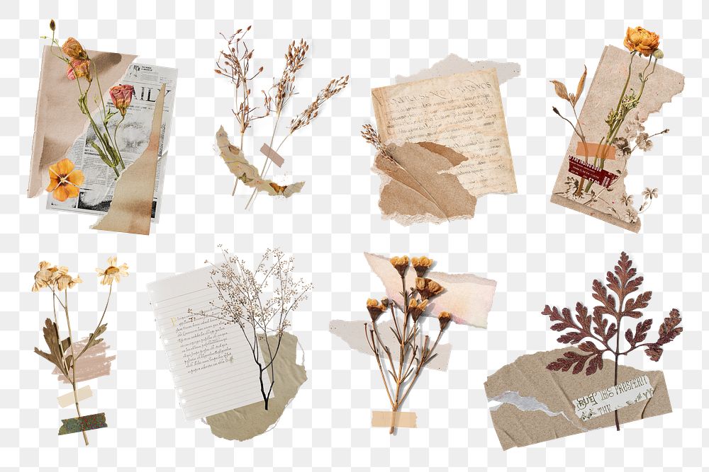 Aesthetic torn paper flower png collection, transparent background