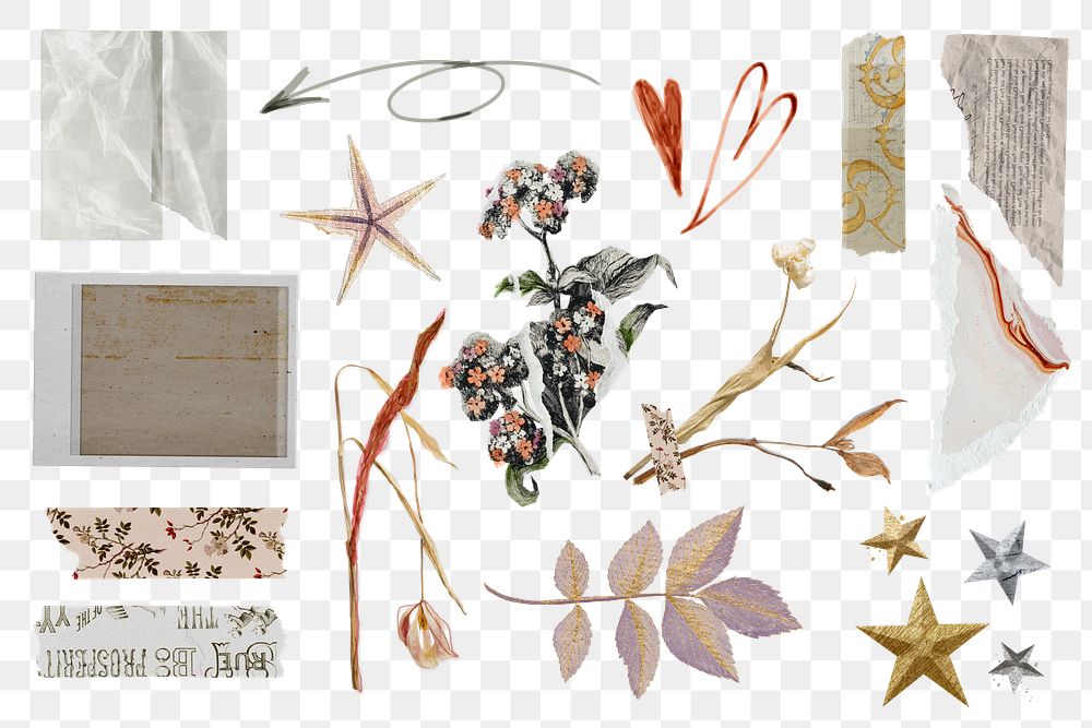 Aesthetic torn paper element png collection, transparent background