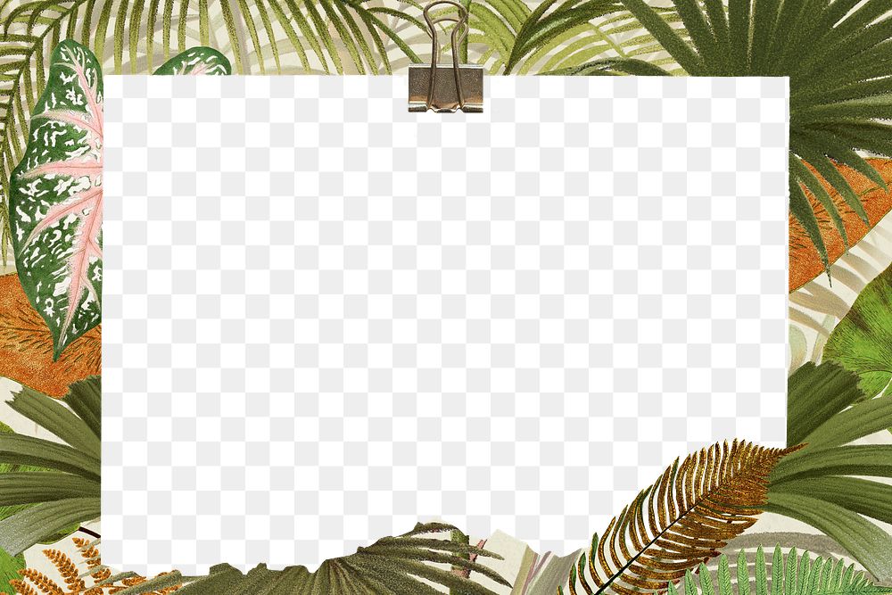 Tropical jungle png frame, palm leaf transparent design