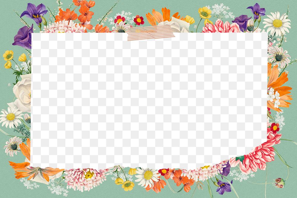 Wedding flower png frame, colorful botanical transparent design