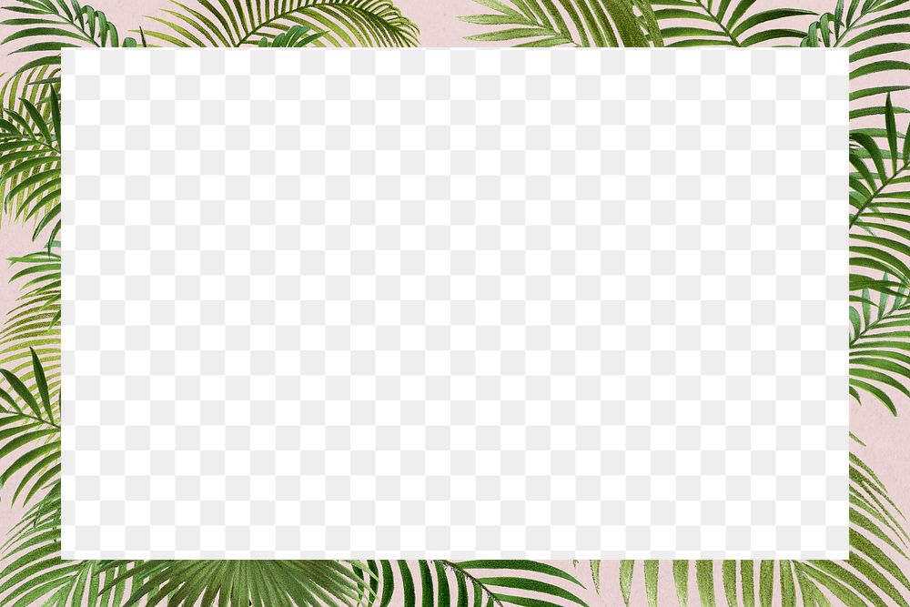 Tropical palm leaf png frame, Summer aesthetic, transparent design