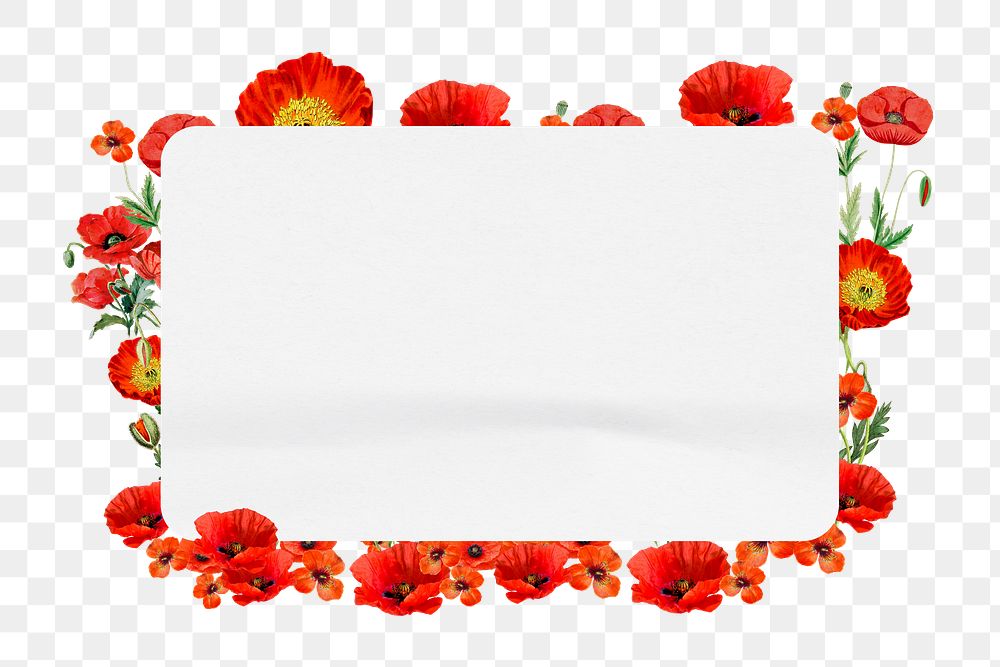 PNG Red poppy badge, Summer flower design, transparent background