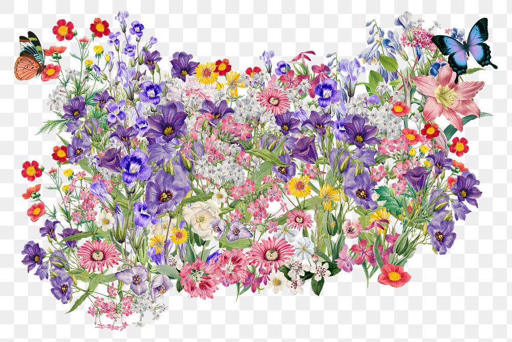 Colorful wildflowers png collage element, transparent background
