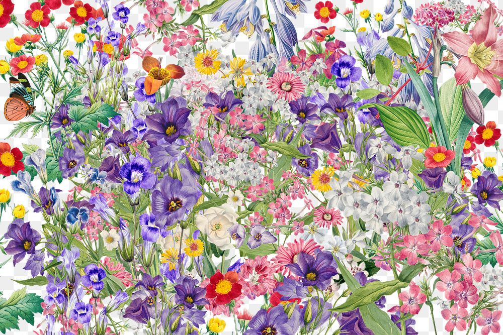 Spring flower png transparent background, colorful botanical pattern