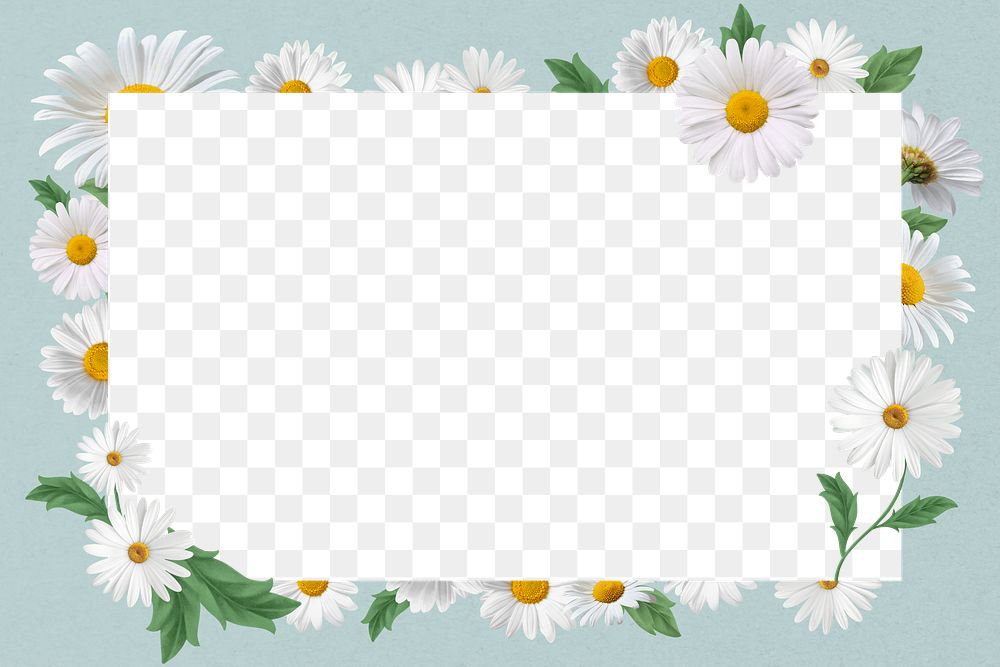 White daisy png frame, Spring flower transparent design