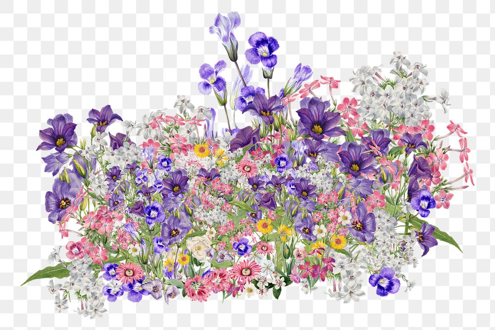 Colorful wildflowers png collage element, transparent background