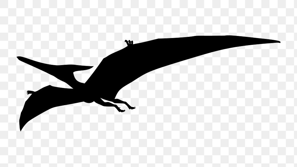 Pteranodon dinosaur silhouette png clipart illustration, transparent background. Free public domain CC0 image.