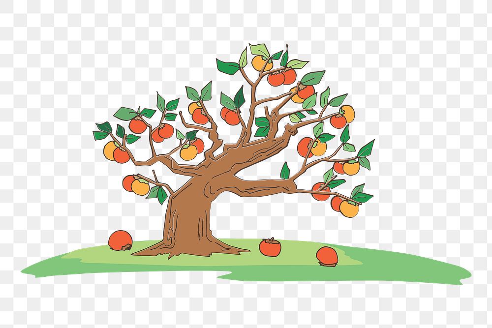 Persimmon tree png clipart, transparent background. Free public domain CC0 image.