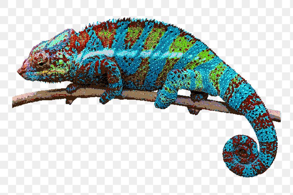 Colorful chameleon animal png clipart, transparent background. Free public domain CC0 image.