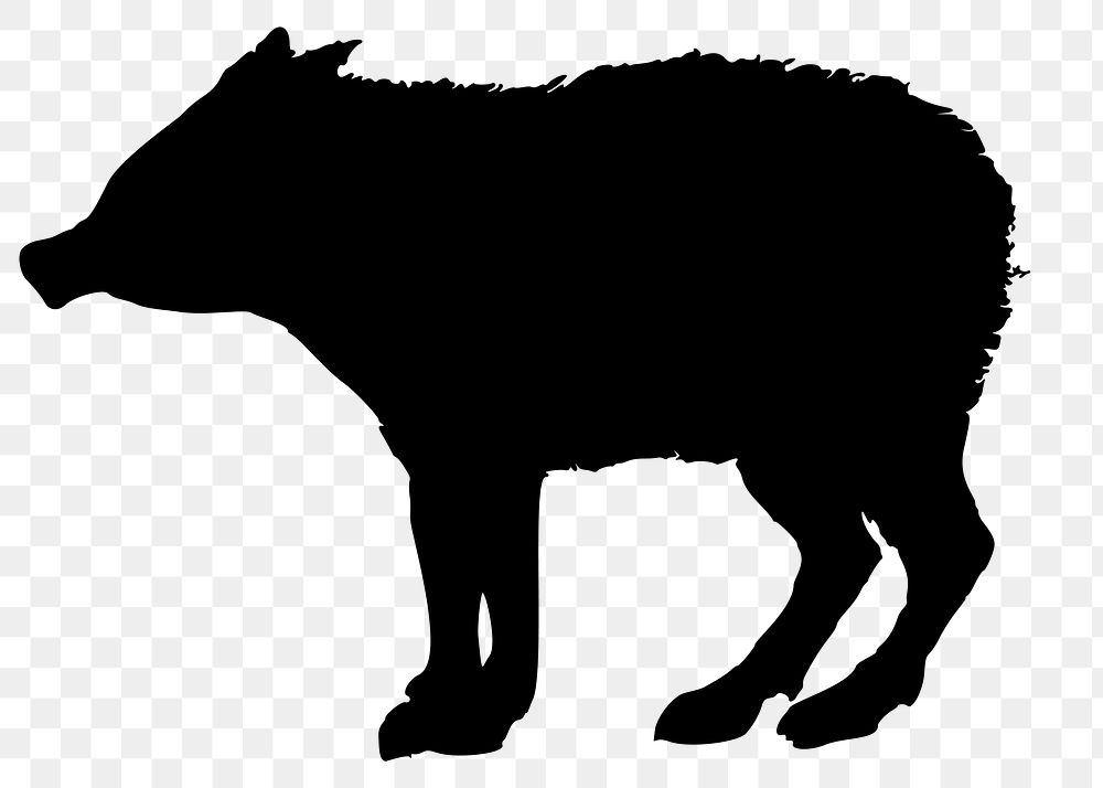 Silhouette wild pig png illustration, transparent background. Free public domain CC0 image.