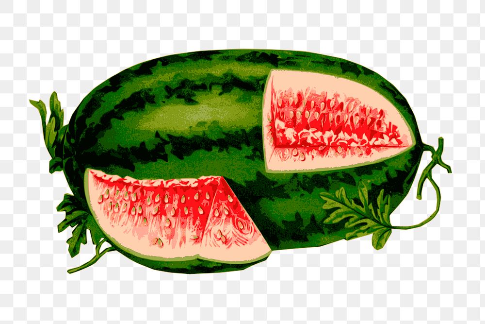 Png watermelon clipart, transparent background. Free public domain CC0 image.