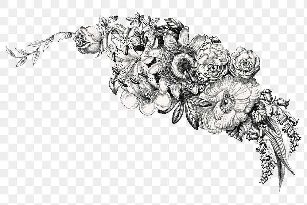 PNG Vintage flower corner element, botanical illustration by Currier & Ives, transparent background.  Remixed by rawpixel. 