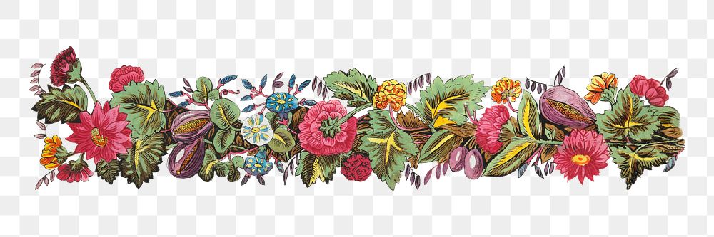 PNG Vintage flower divider element, illustration by Louis-Albert DuBois, transparent background.  Remixed by rawpixel. 