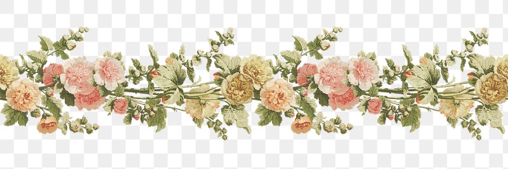 PNG Vintage flower divider, botanical illustration, transparent background.  Remixed by rawpixel. 