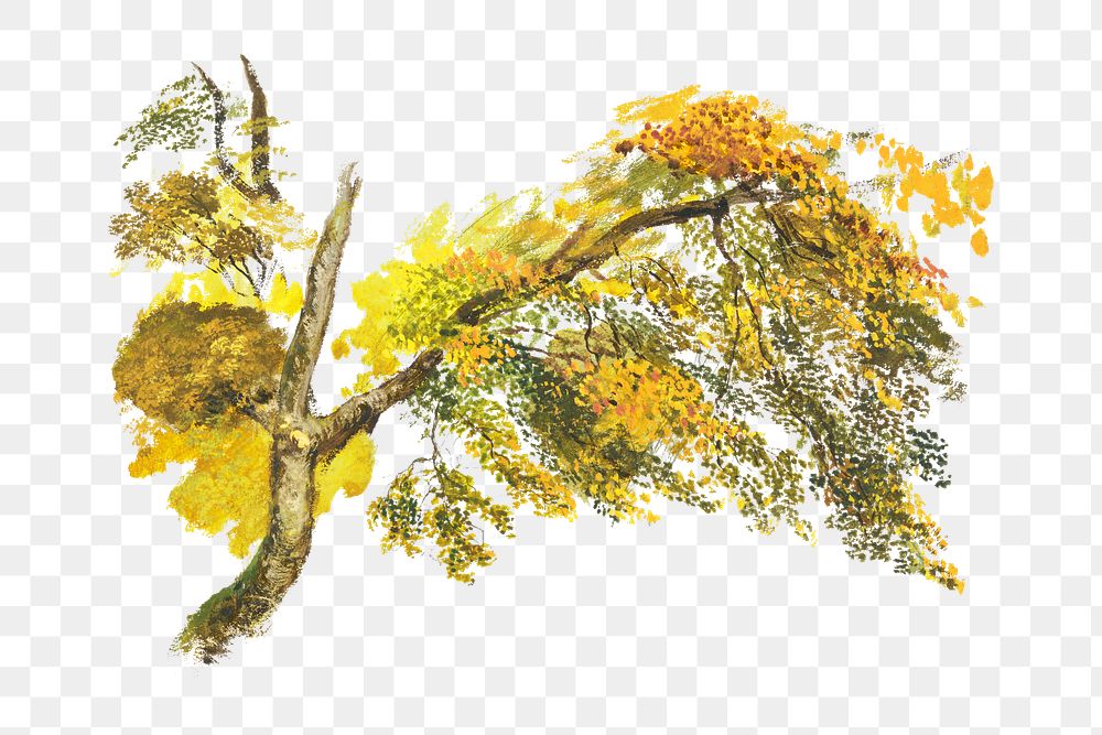 PNG Autumn tree, nature botanical illustration by John Linnell, transparent background.  Remixed by rawpixel. 