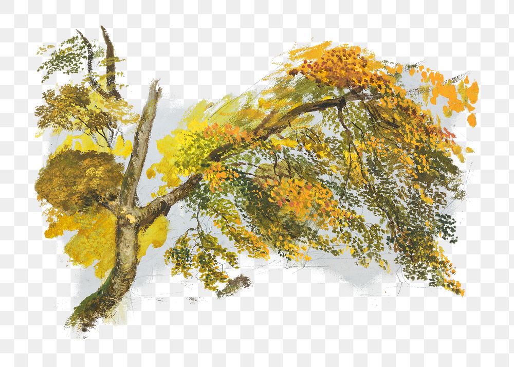 PNG Autumn tree, nature botanical illustration by John Linnell, transparent background.  Remixed by rawpixel. 