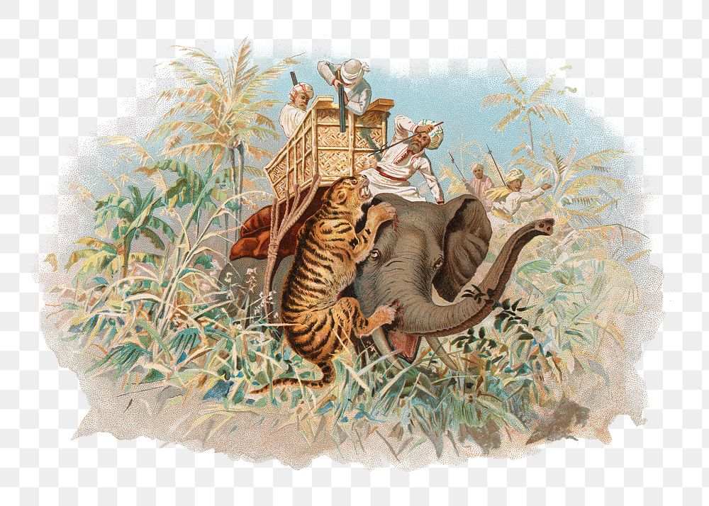 PNG Tiger hunting, vintage animal illustration by John Charlton, transparent background.  Remixed by rawpixel. 