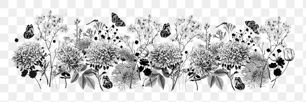 Black and white flower png divider, botanical illustration, transparent background