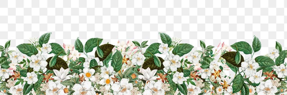 White vintage flowers png border, transparent background