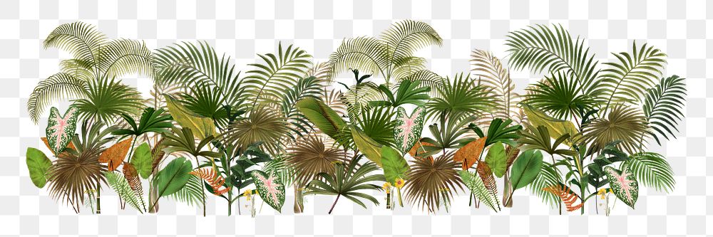 Tropical palm trees png divider, illustration, transparent background