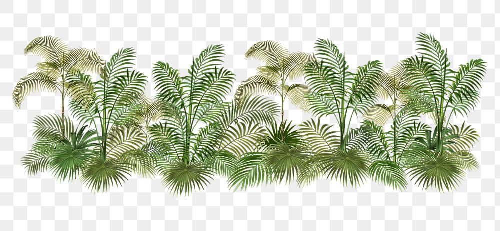 Tropical palm trees png divider illustration, transparent background