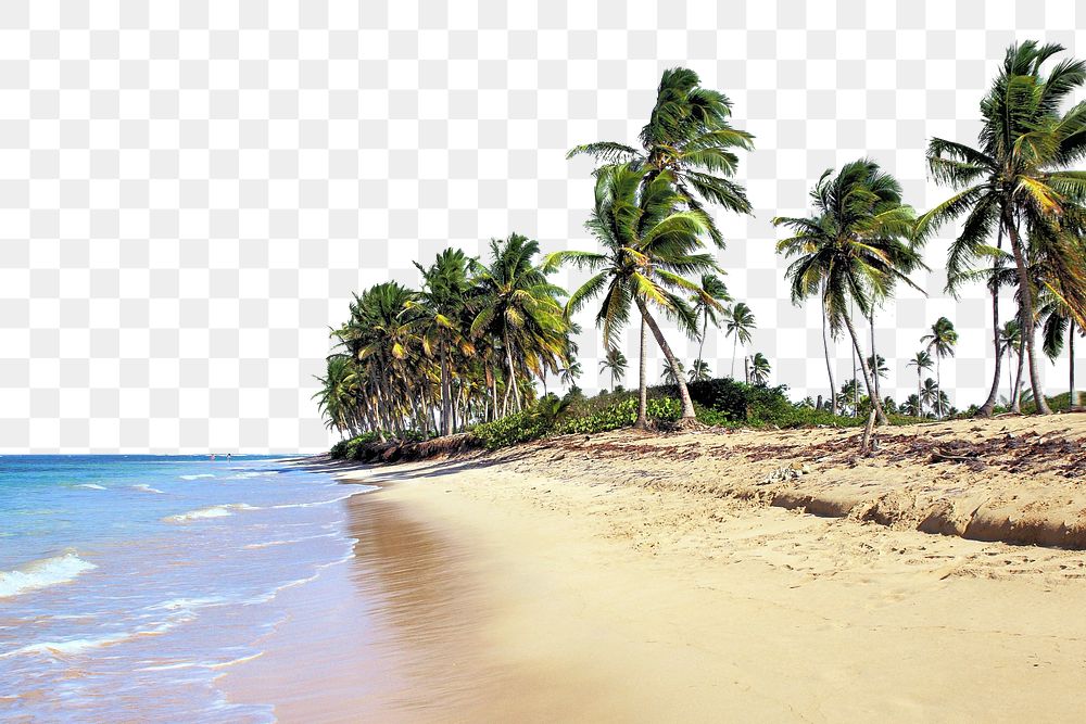 PNG Summer beach  border, transparent background