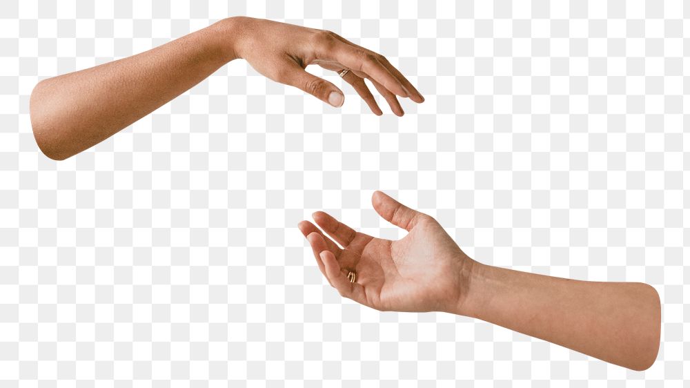 PNG Women's hands reaching for each other transparent background