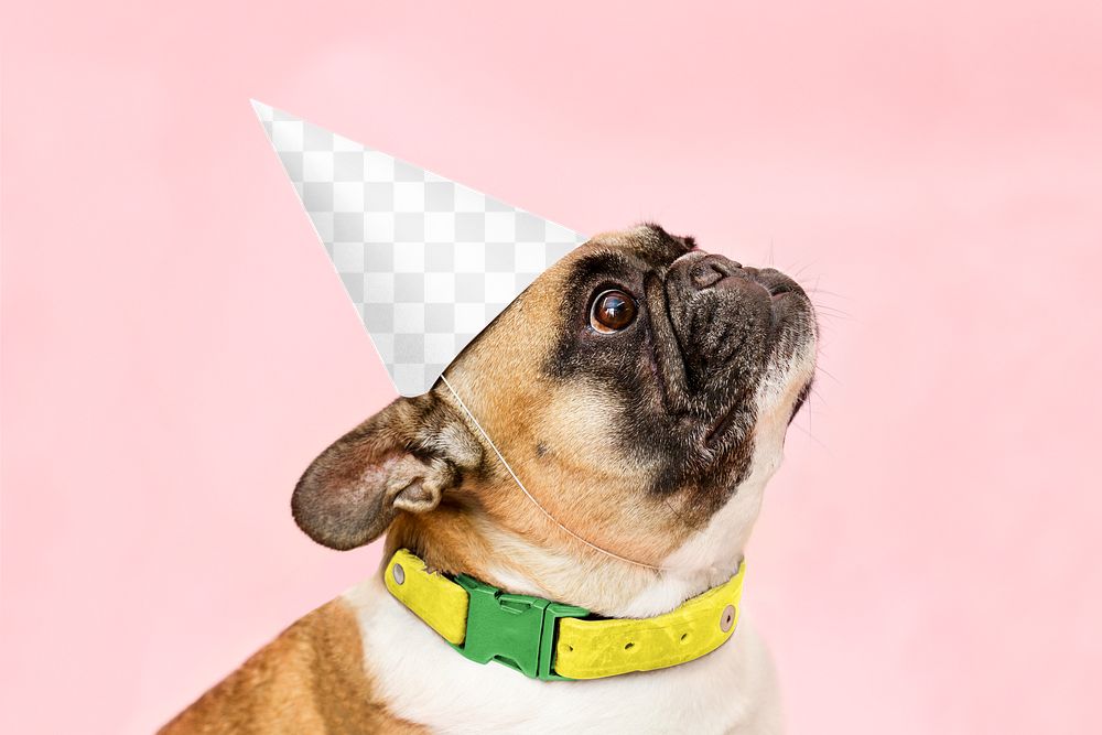 Birthday cone hat png mockup, pet costume, transparent design