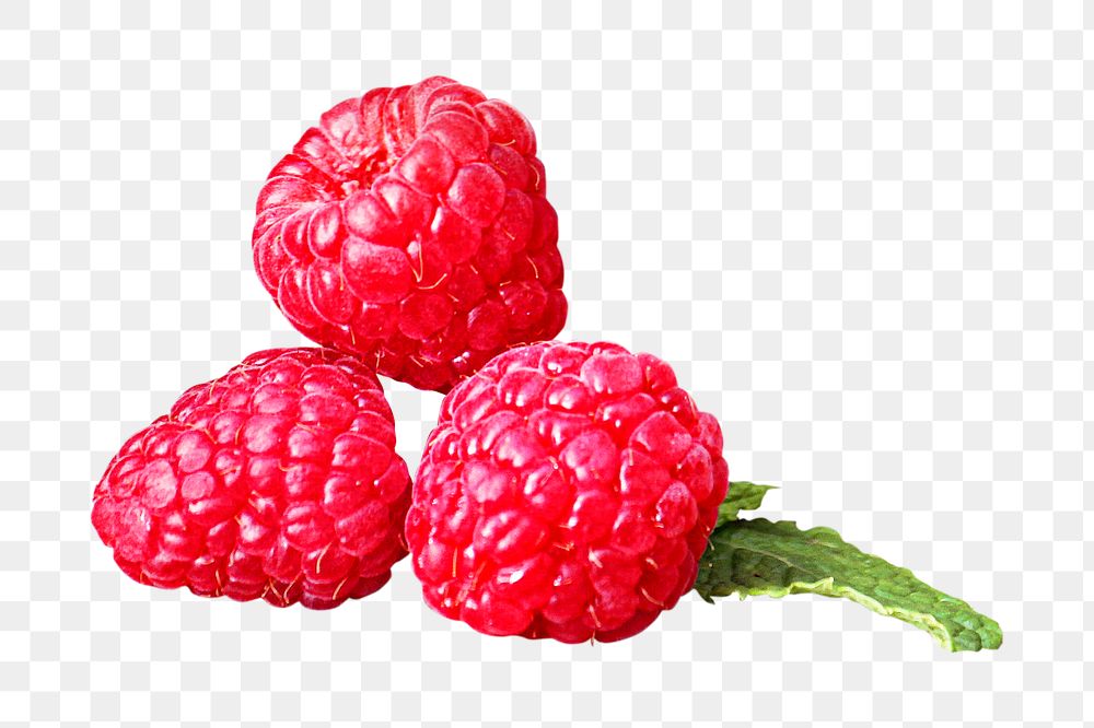 Red raspberry png collage element, transparent background