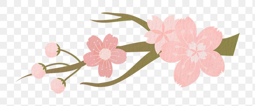 Pink png flower on transparent background, sakura illustration