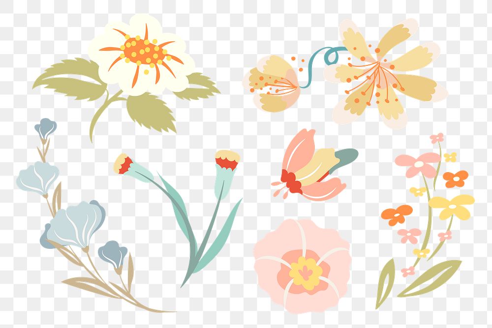 Colorful flower on transparent png background