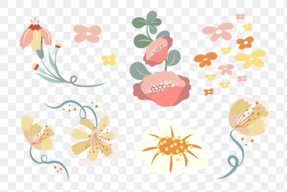 Colorful flower png illustration set, transparent background