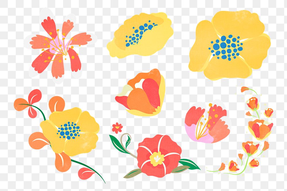 Colorful flower png illustration set, transparent background