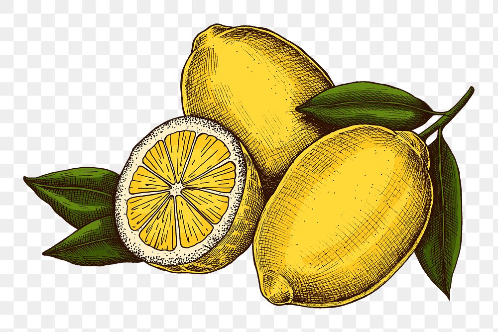 Png lemon illustration collage element, transparent background