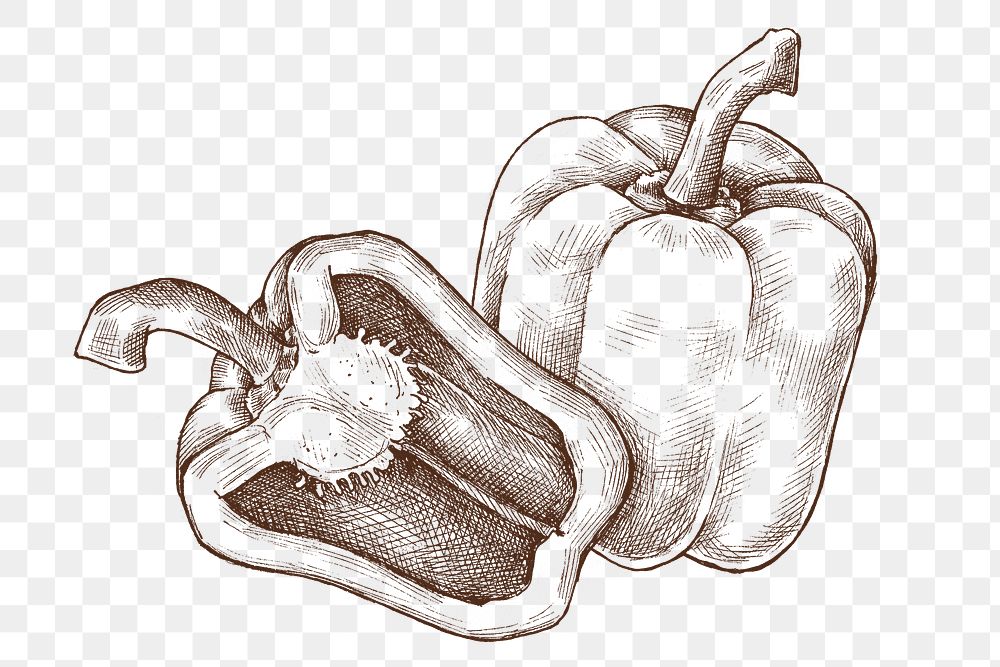 Png bell pepper illustration collage element, transparent background