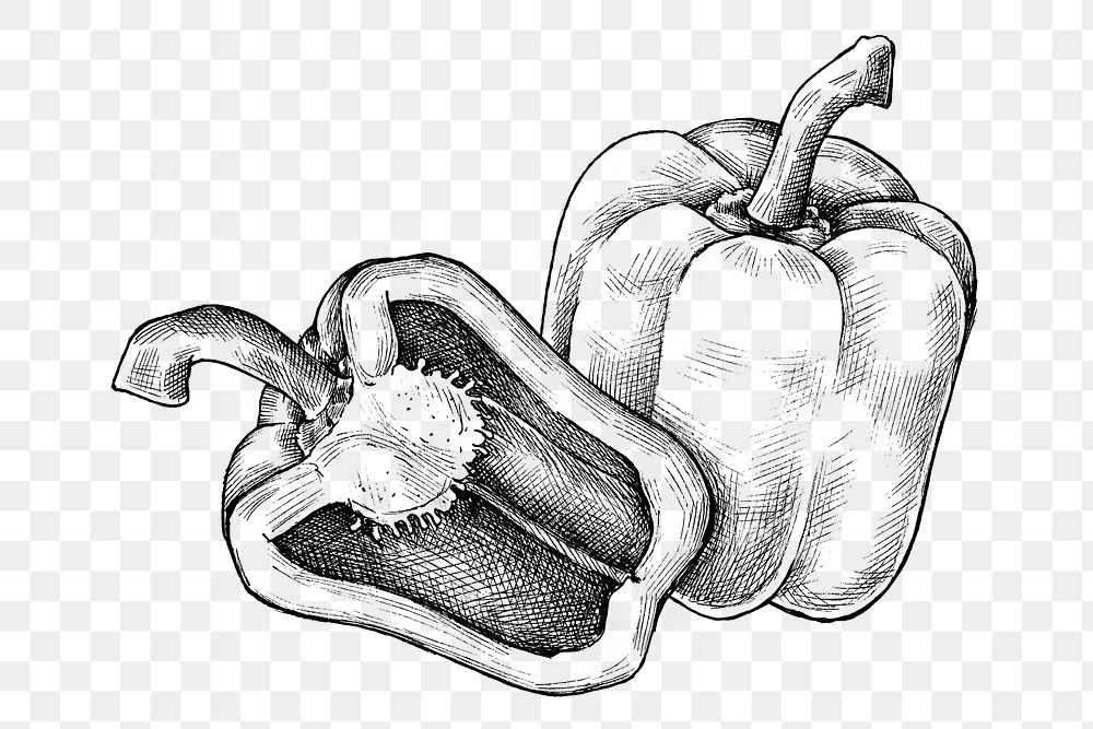 Png bell pepper black and white illustration, transparent background