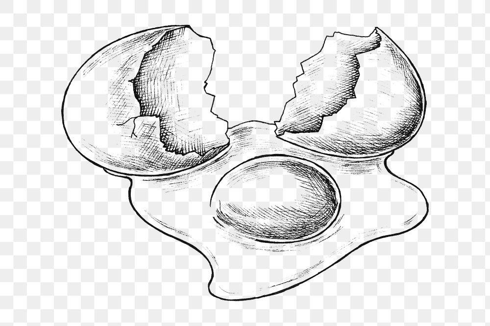 Png cracked egg black and white illustration, transparent background