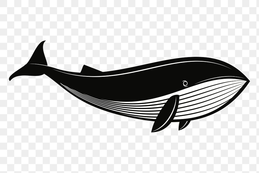 PNG Whale silhouette, design element, transparent background