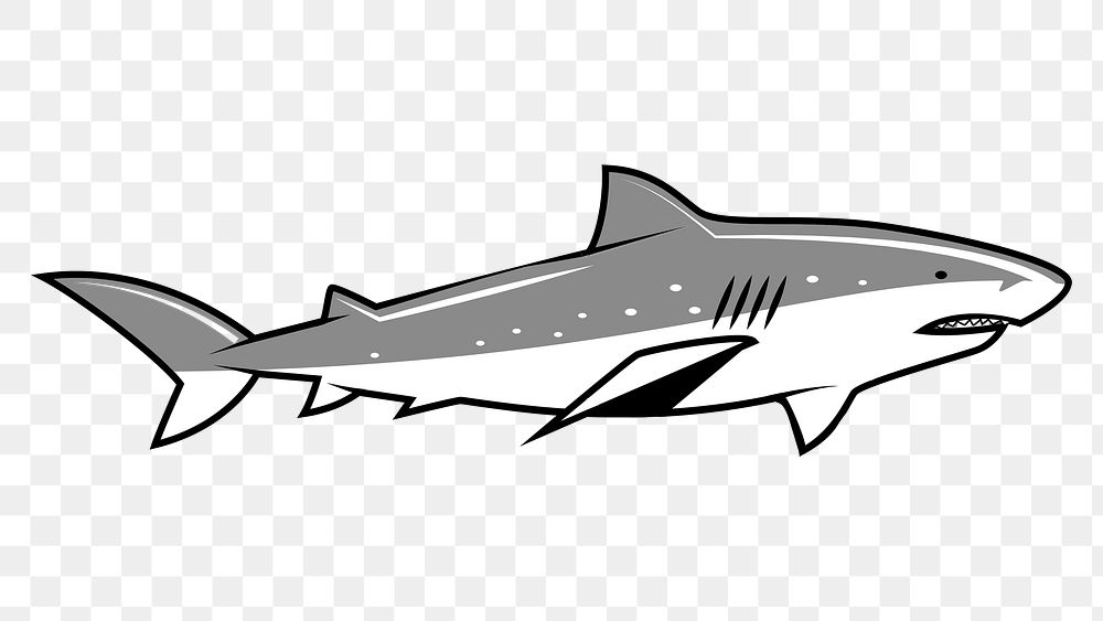 PNG Shark grey color, clipart, transparent background