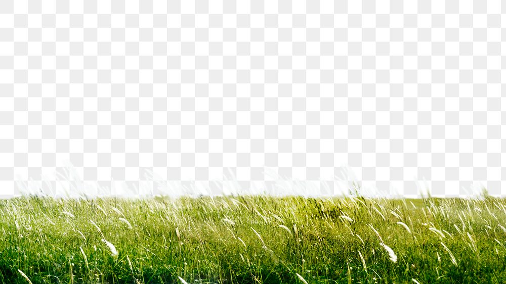 PNG Green field collage element, transparent background