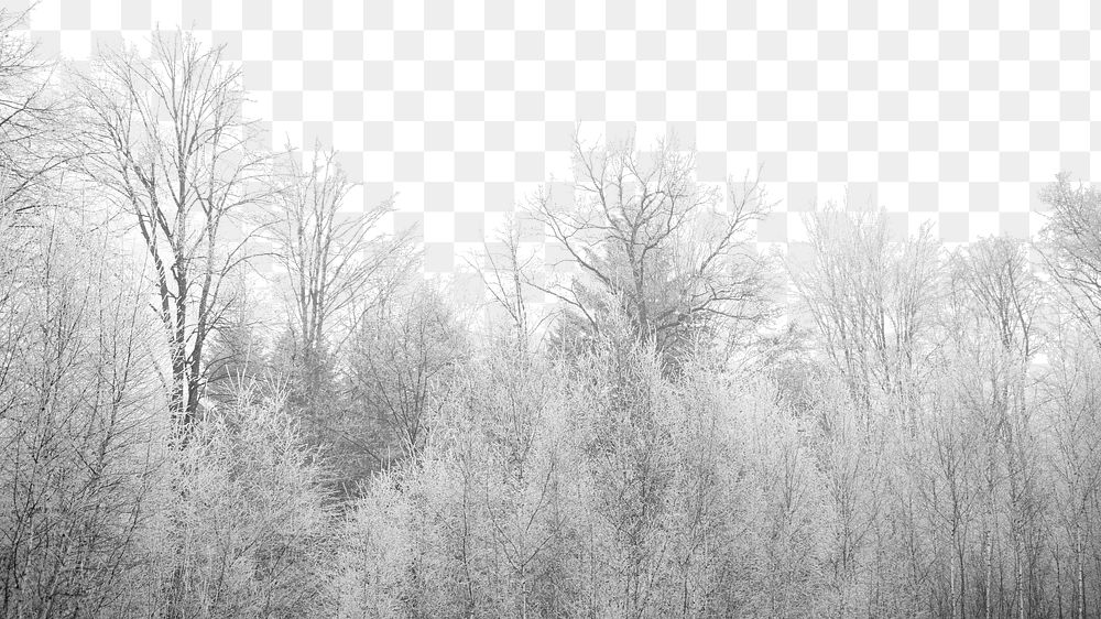 PNG Winter snow trees collage element, transparent background