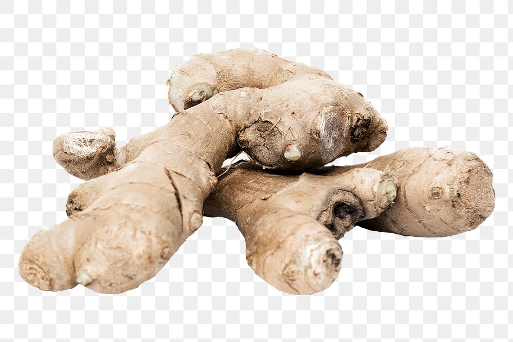 Ginger vegetable png, transparent background