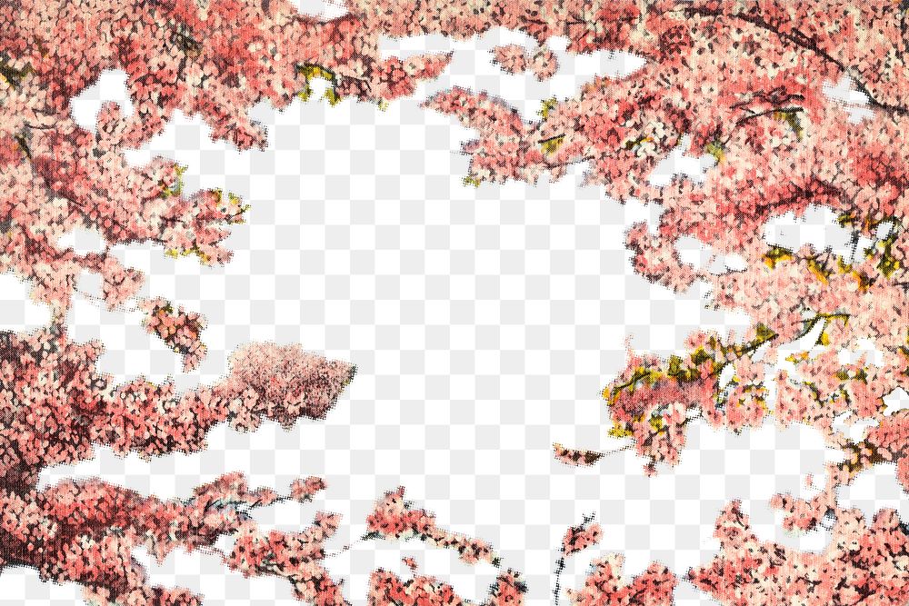 PNG vintage cherry blossoms frame, chromolithograph art, transparent background. Remixed by rawpixel. 