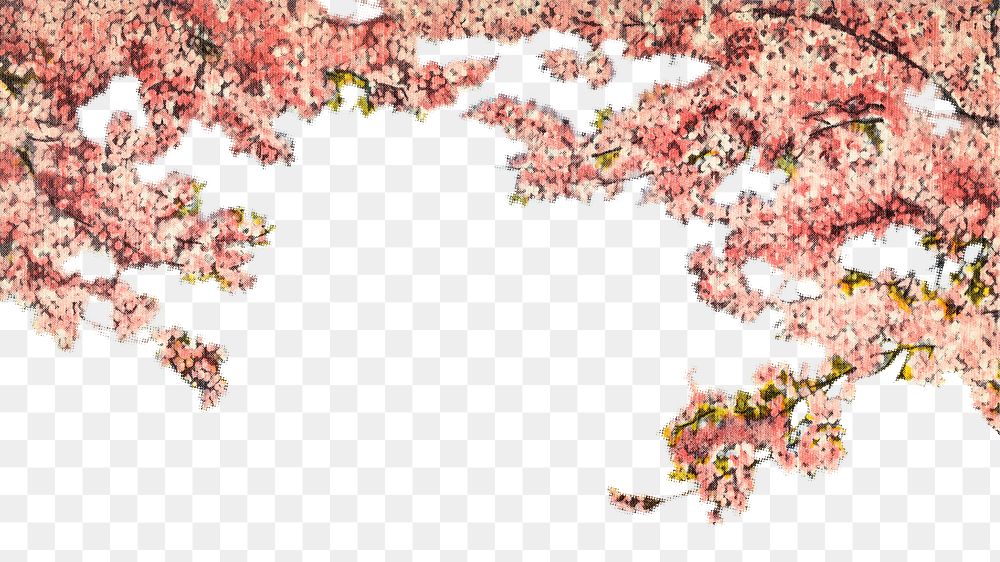 PNG vintage cherry blossoms border, chromolithograph art, transparent background. Remixed by rawpixel. 