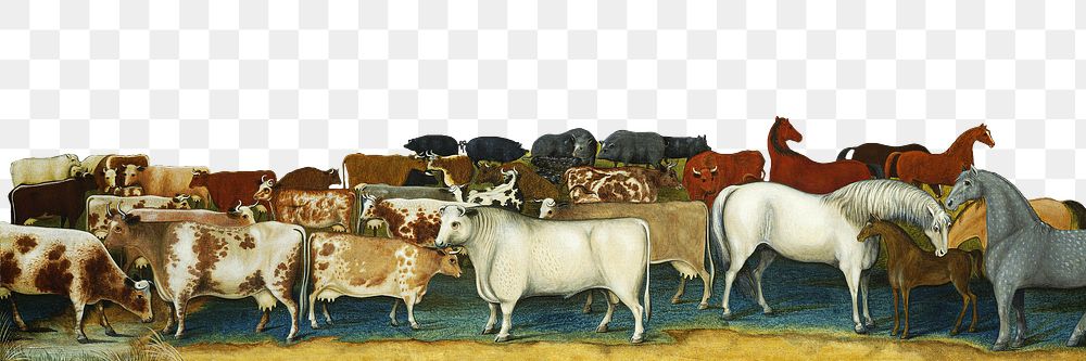 PNG livestock vintage illustration on transparent background. Remixed by rawpixel.