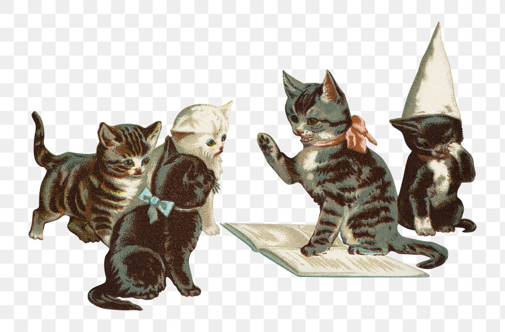 PNG Little kittens, vintage pet animal illustration, transparent background. Remixed by rawpixel.