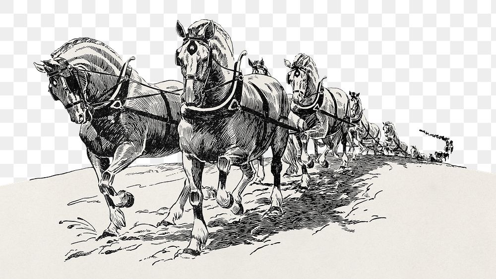 Horses border png vintage illustration, transparent background. Remixed by rawpixel. 