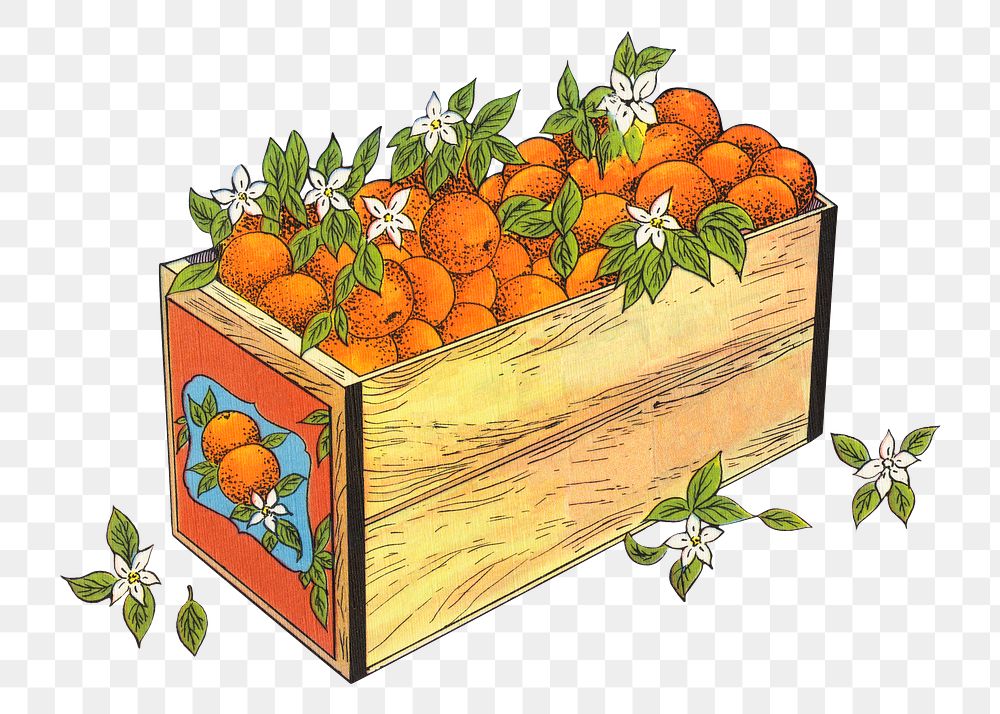 Vintage fruit png box of oranges chromolithograph, transparent background. Remixed by rawpixel.