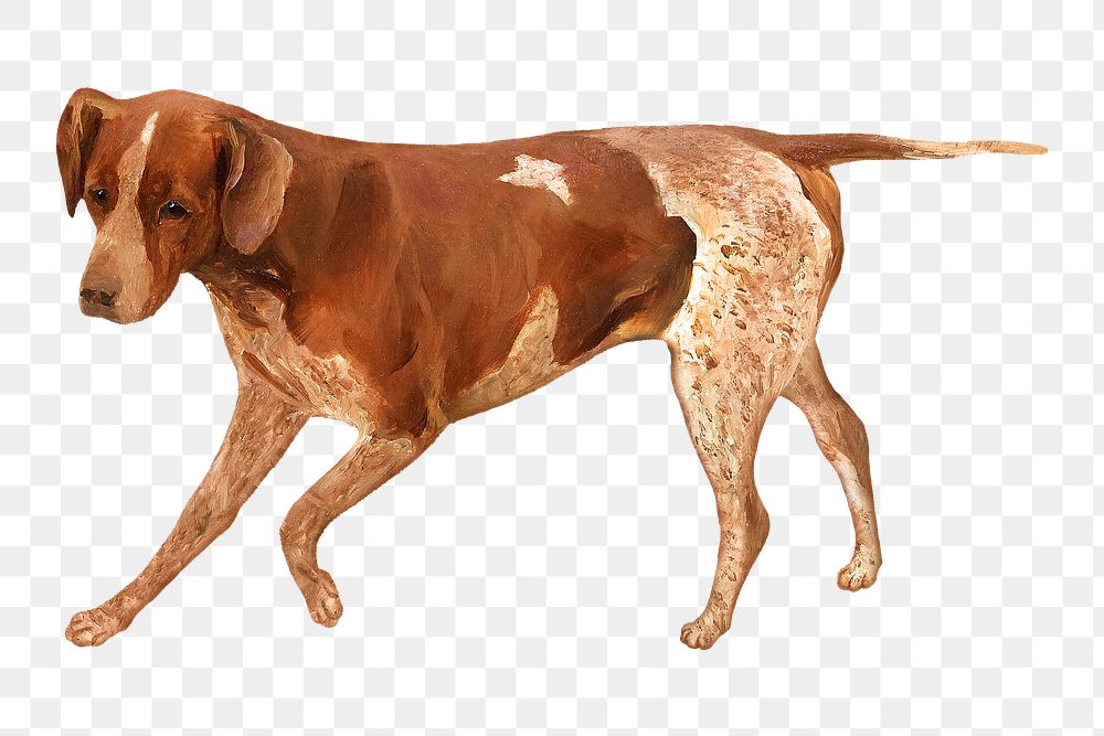 English Pointer png dog, transparent background. Remixed by rawpixel.